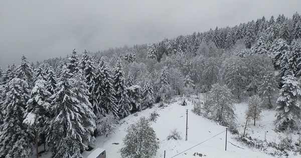 Foto - Doğu Karadeniz beyaza büründü