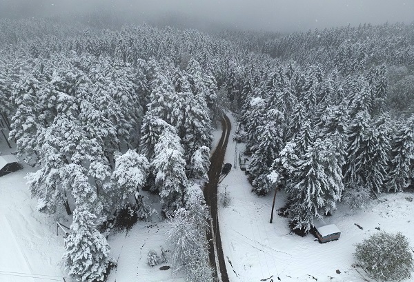 Foto - Doğu Karadeniz beyaza büründü