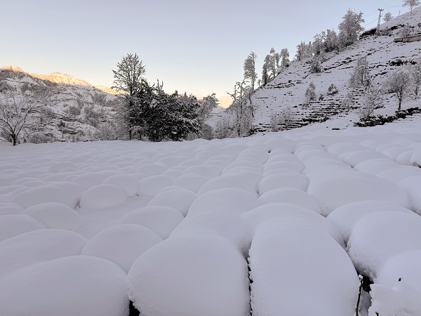 Foto - Doğu Karadeniz beyaza büründü
