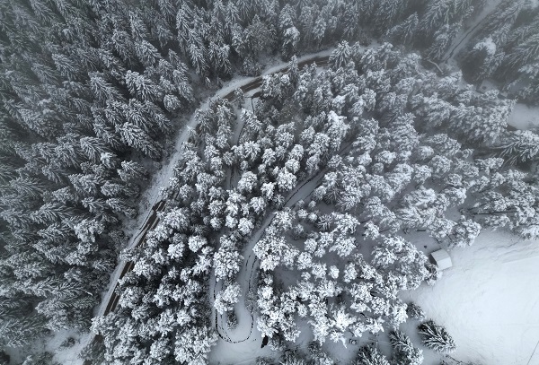 Foto - Doğu Karadeniz beyaza büründü