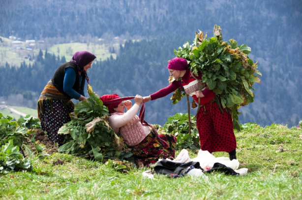 Foto - Doğu Karadeniz büyük tehlike altında! O bitkiler yasaklanmalı