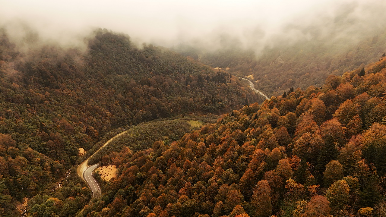 Foto - Doğu Karadeniz'de nefes kesen sonbahar manzarası