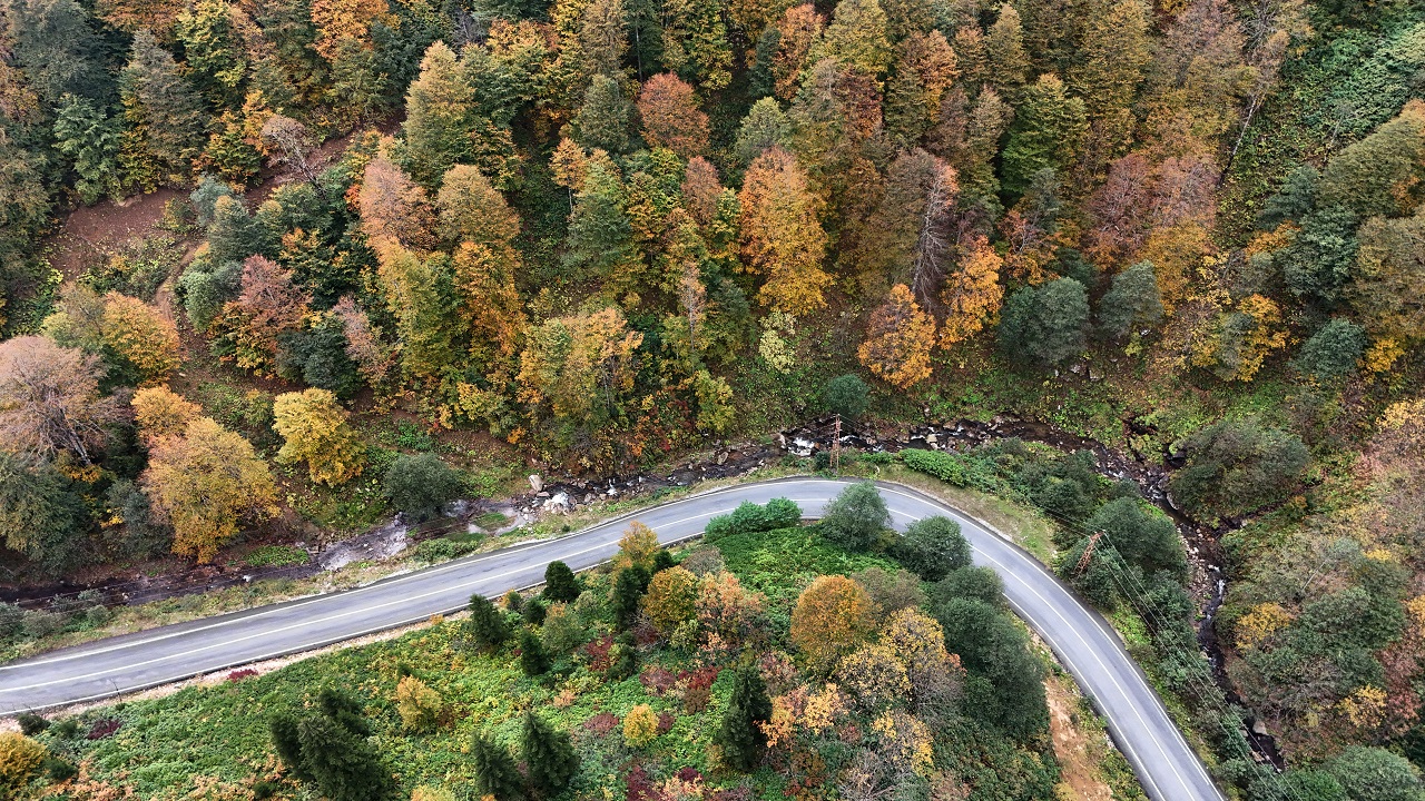 Foto - Doğu Karadeniz'de nefes kesen sonbahar manzarası