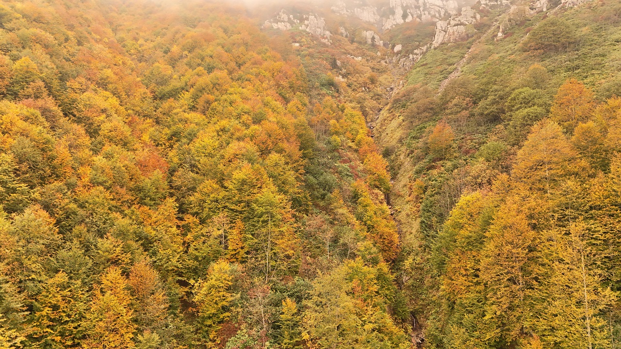 Foto - Doğu Karadeniz'de nefes kesen sonbahar manzarası