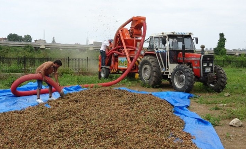 Foto - Doğu Karadeniz’de patoz mesaisi başladı: Saatlik ücretleri dudak uçuklattı