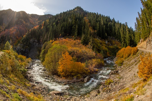 Foto - Doğu Karadeniz’in doğal sit alanı: Papart Vadisi