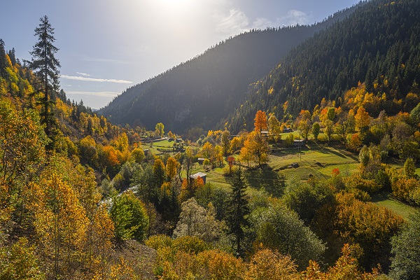 Foto - Doğu Karadeniz’in doğal sit alanı: Papart Vadisi