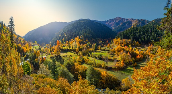 Doğu Karadeniz’in doğal sit alanı: Papart Vadisi