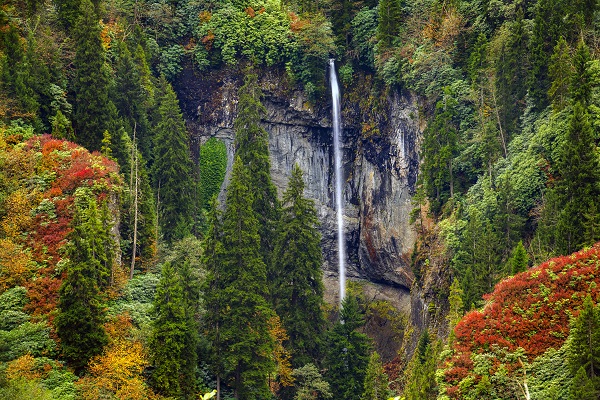 Foto - Doğu Karadeniz’in doğal sit alanı: Papart Vadisi