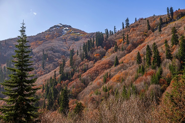 Foto - Doğu Karadeniz’in doğal sit alanı: Papart Vadisi