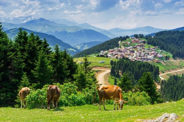 Foto - Doğu Karadeniz'in saklı cennetleri