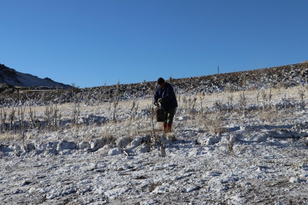 Foto - Doğu Karadeniz'in yüksek rakımlı yaylalarına kar yağdı