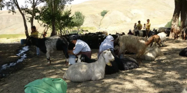 Doğulu kadınların zorlu yaşantısı