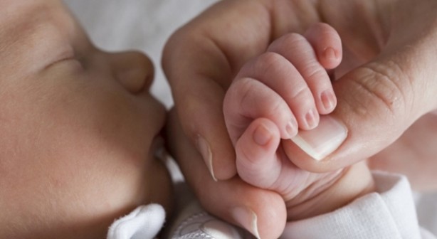 Foto - Doğurganlığın trajik düşüşü!