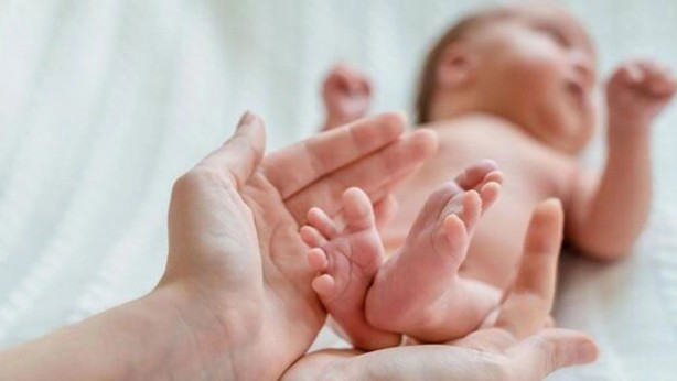 Foto - Doğurganlığın trajik düşüşü!