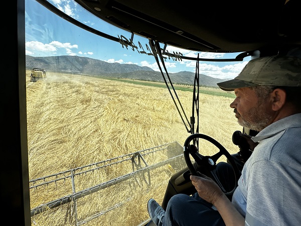 Foto - Doktor çift üretim yapıyor! Bu besin kanser hastalarına şifa dağıtıyor
