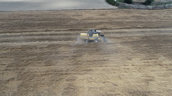 Foto - Doktor çift üretim yapıyor! Bu besin kanser hastalarına şifa dağıtıyor