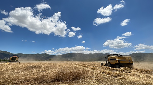 Foto - Doktor çift üretim yapıyor! Bu besin kanser hastalarına şifa dağıtıyor