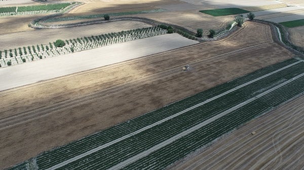 Foto - Doktor çift üretim yapıyor! Bu besin kanser hastalarına şifa dağıtıyor