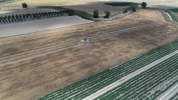 Foto - Doktor çift üretim yapıyor! Bu besin kanser hastalarına şifa dağıtıyor