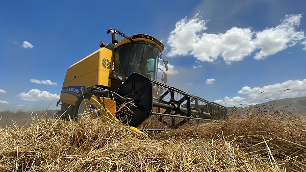 Foto - Doktor çift üretim yapıyor! Bu besin kanser hastalarına şifa dağıtıyor