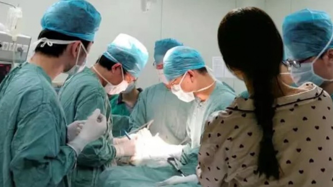 Doktorlar dehşete düştü: 14 yaşındaki kızın karnından bakın ne çıktı!