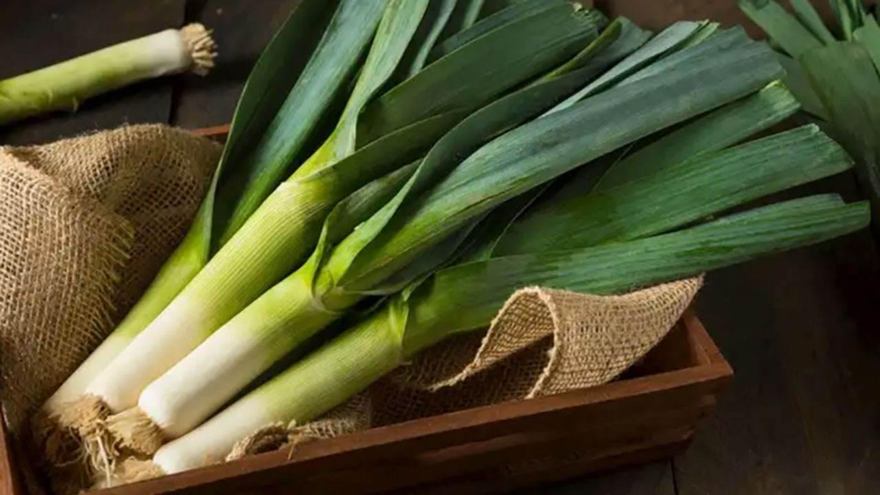 Doktorlar uyardı, pırasa severler üzgün! Pırasa yemeden önce bir kez daha düşünün