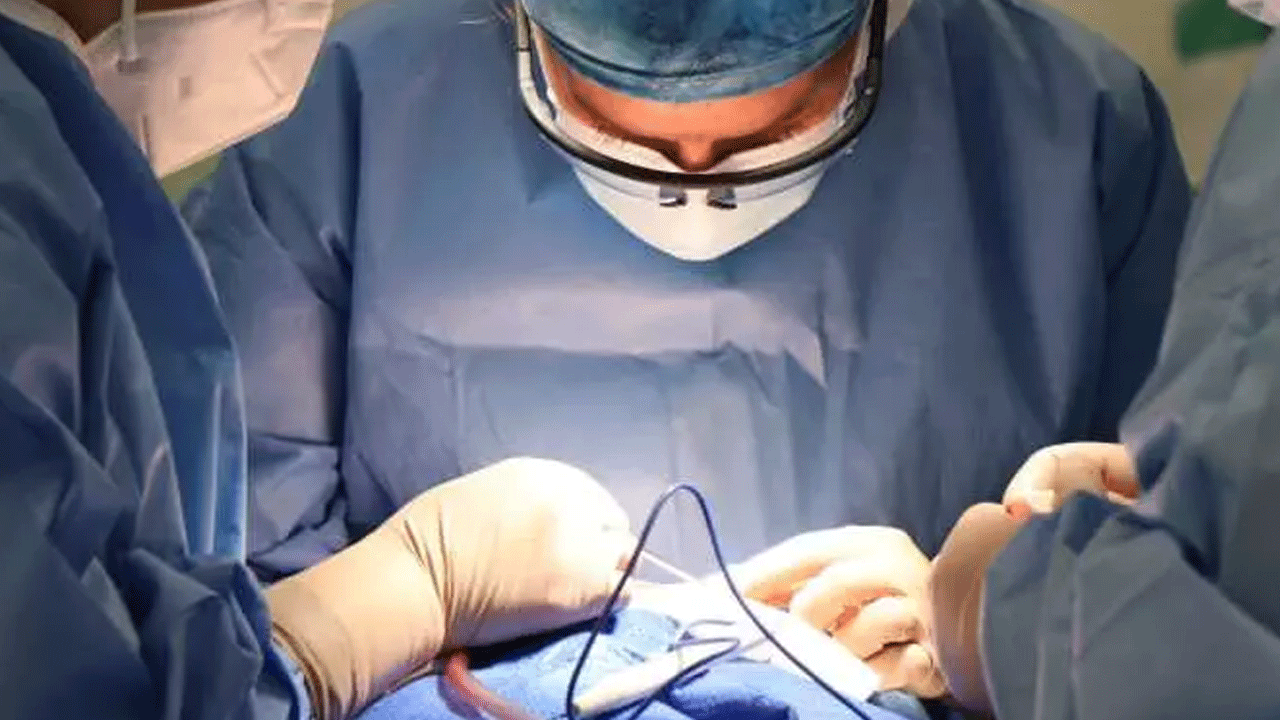 Foto - Doktorları şaşkına çeviren vaka: Karnından çıkana inanamadılar!!!