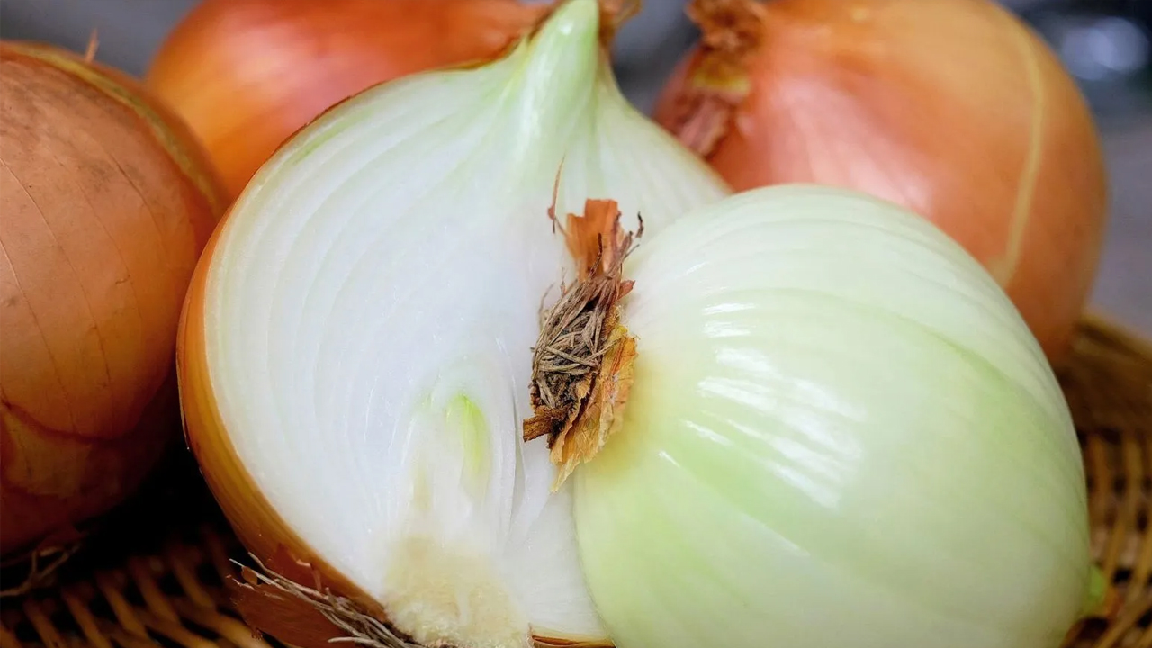 Foto - Dökülen saçlara son! İşte saç dökülmesini ortadan kaldıran sır