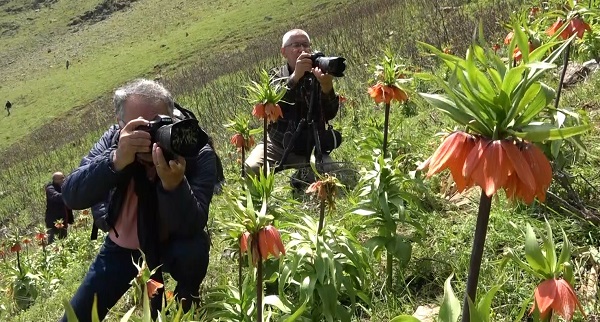 Foto - Dokunamadılar bile! 2 saat yol gittiler ama korkudan geri geldiler