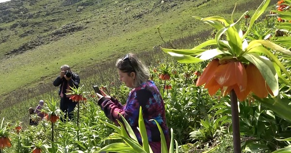 Foto - Dokunamadılar bile! 2 saat yol gittiler ama korkudan geri geldiler