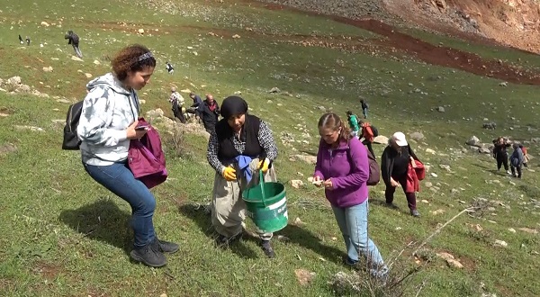Foto - Dokunamadılar bile! 2 saat yol gittiler ama korkudan geri geldiler