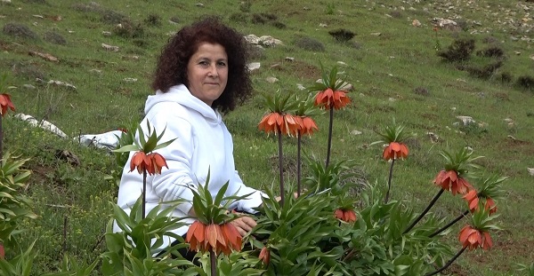 Foto - Dokunamadılar bile! 2 saat yol gittiler ama korkudan geri geldiler