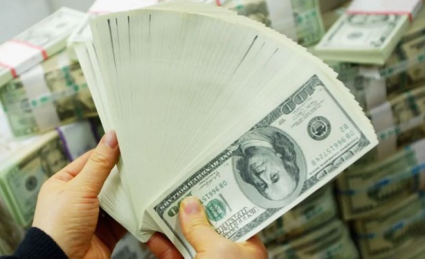 Foto - Dolar seçim sonrası 20 TL mi olacak? Ekonomist Prof. Dr. Seyfettin Erdoğan tahminini açıkladı.