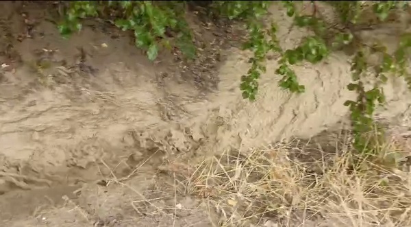 Foto - Dolu kayısı bahçelerine zarar verdi