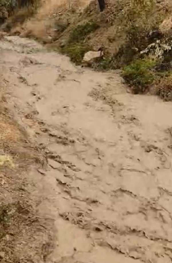 Foto - Dolu kayısı bahçelerine zarar verdi