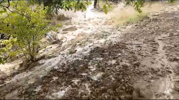 Dolu kayısı bahçelerine zarar verdi