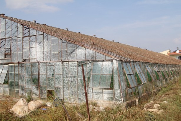 Foto - Dolu ve fırtına tarım alanlarına zarar verdi