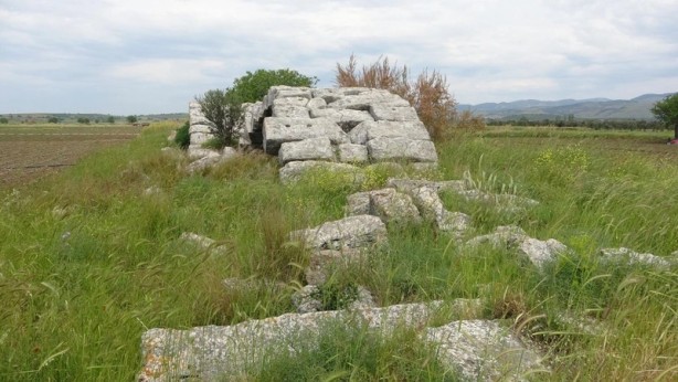 Foto - Domates tarlalarının arasında öylece kalakaldı!
