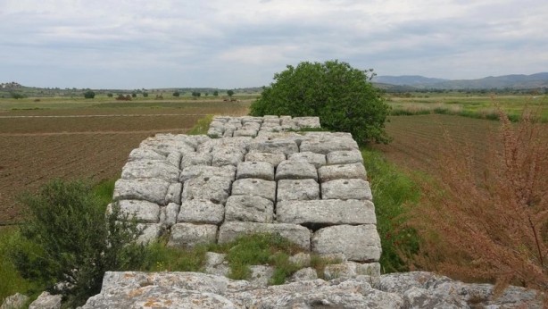 Foto - Domates tarlalarının arasında öylece kalakaldı!