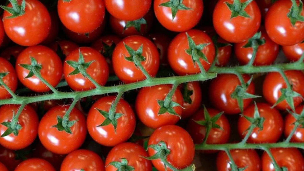 Foto - Domates yiyenler dikkat: Bunu gördüğünüz an hemen geri bırakın