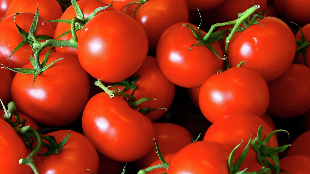 Domates yiyenler dikkat: Bunu gördüğünüz an hemen geri bırakın