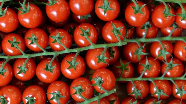 Foto - Domatesin sağlığa etkisi şaşırtacak cinsten
