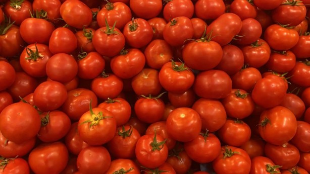 Foto - Domatesin sağlığa etkisi şaşırtacak cinsten