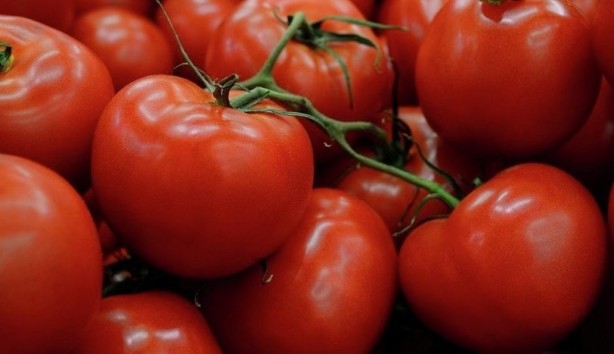 Foto - Domatesin sağlığa etkisi şaşırtacak cinsten