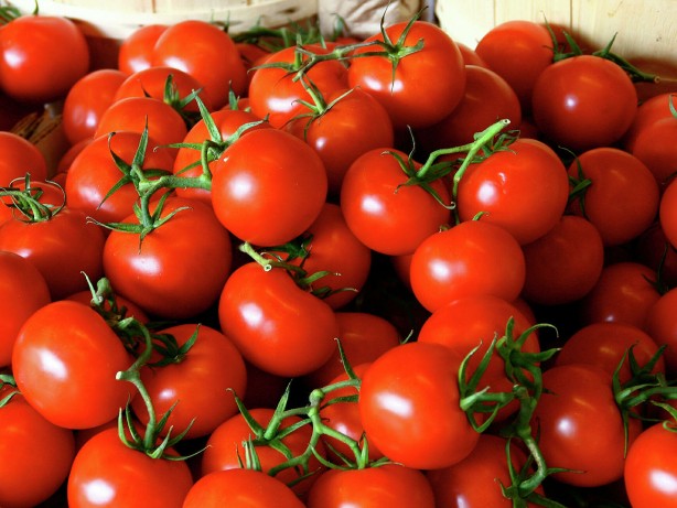 Foto - Domatesin sağlığa etkisi şaşırtacak cinsten