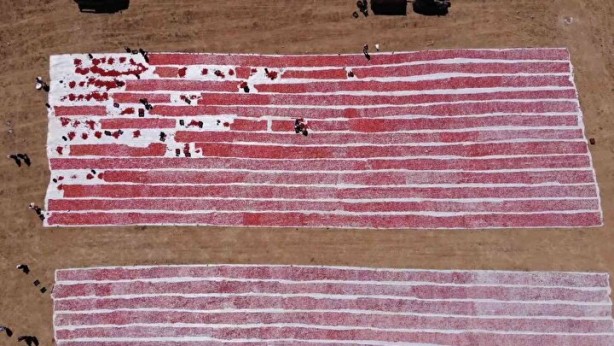 Foto - Domatesler güneşe serildi! 7 ülkeye gidecek