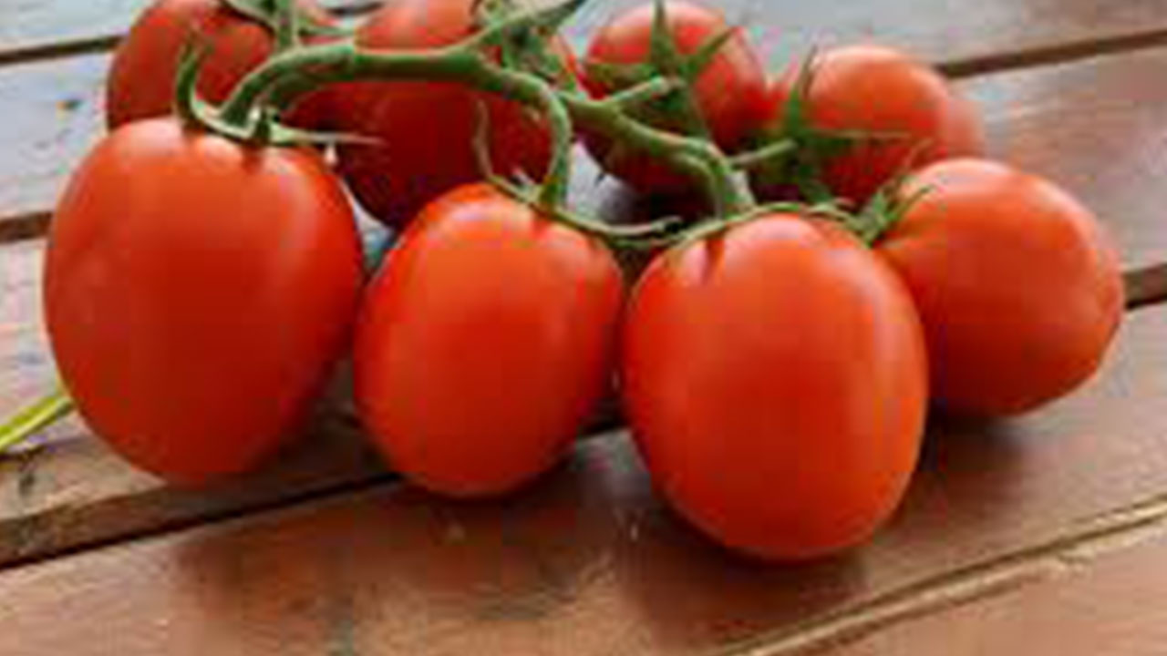 Foto - Domatesler raflardan acil olarak toplatılıyor: Sakın tüketmeyin uyarısı geldi