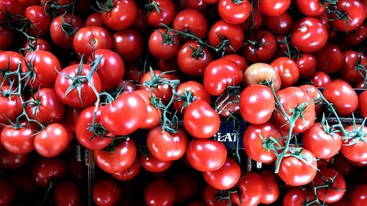 Foto - Domatesler raflardan acil olarak toplatılıyor: Sakın tüketmeyin uyarısı geldi