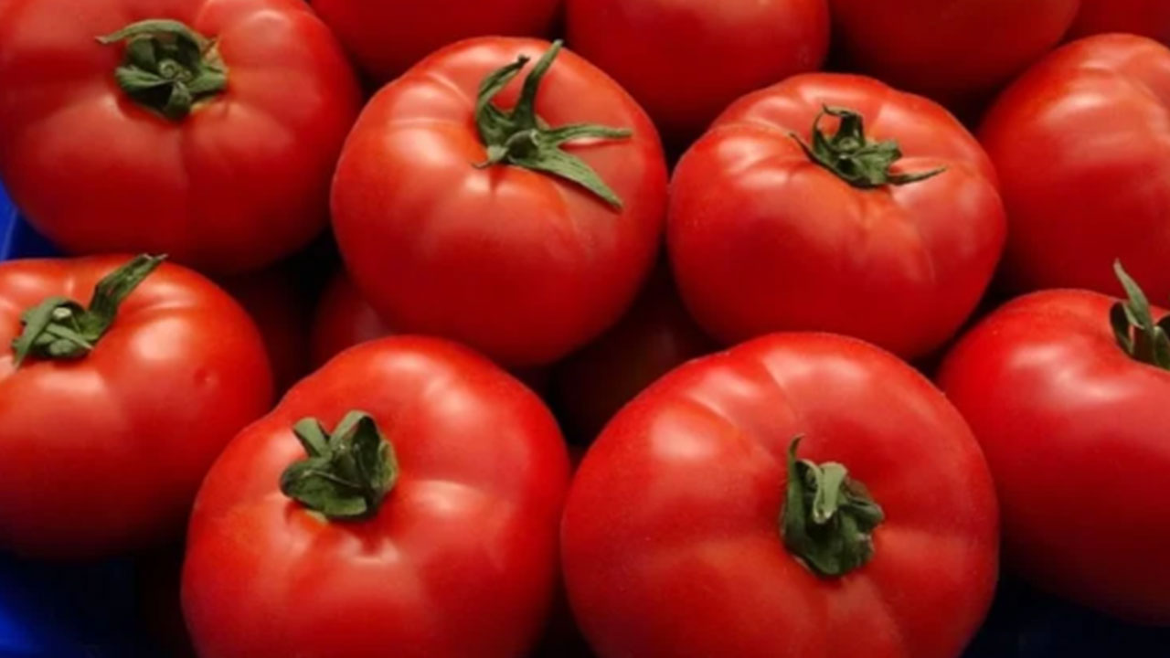 Foto - Domatesler raflardan acil olarak toplatılıyor: Sakın tüketmeyin uyarısı geldi